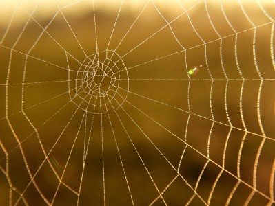 gemini3模型介绍中文版