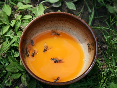 豆包最新版本下载