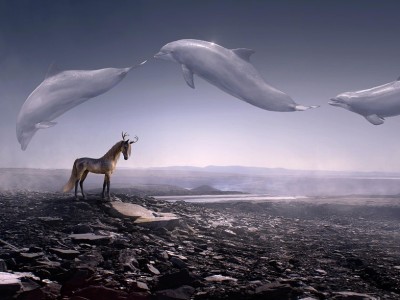 gemini3是什么即梦马