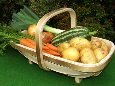 豆包电脑版下载官网