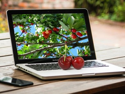 gemini电脑端下载