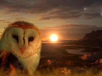 Deepseek变冷淡事件